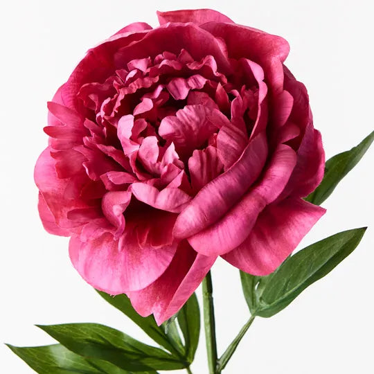 ARTIFICIAL PEONY FUSCHIA STEM