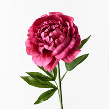 Load image into Gallery viewer, ARTIFICIAL PEONY FUSCHIA STEM
