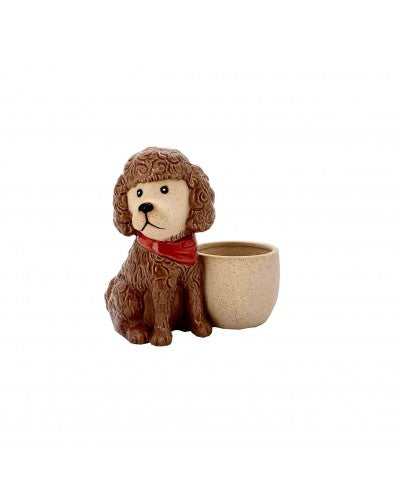 POODLE DOG POT Sydney's Plant Market