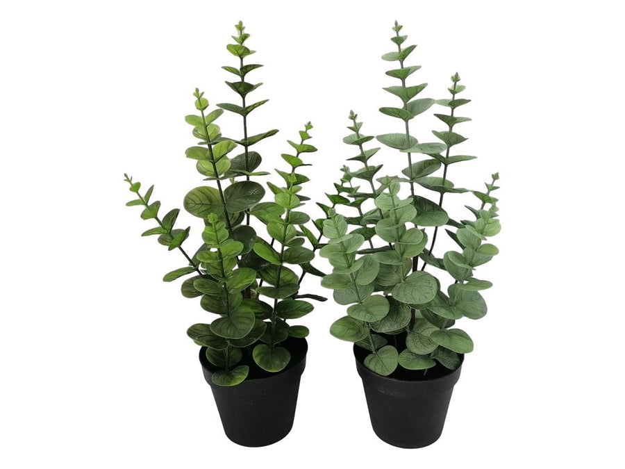 ARTIFICIAL EUCALYPTUS POT