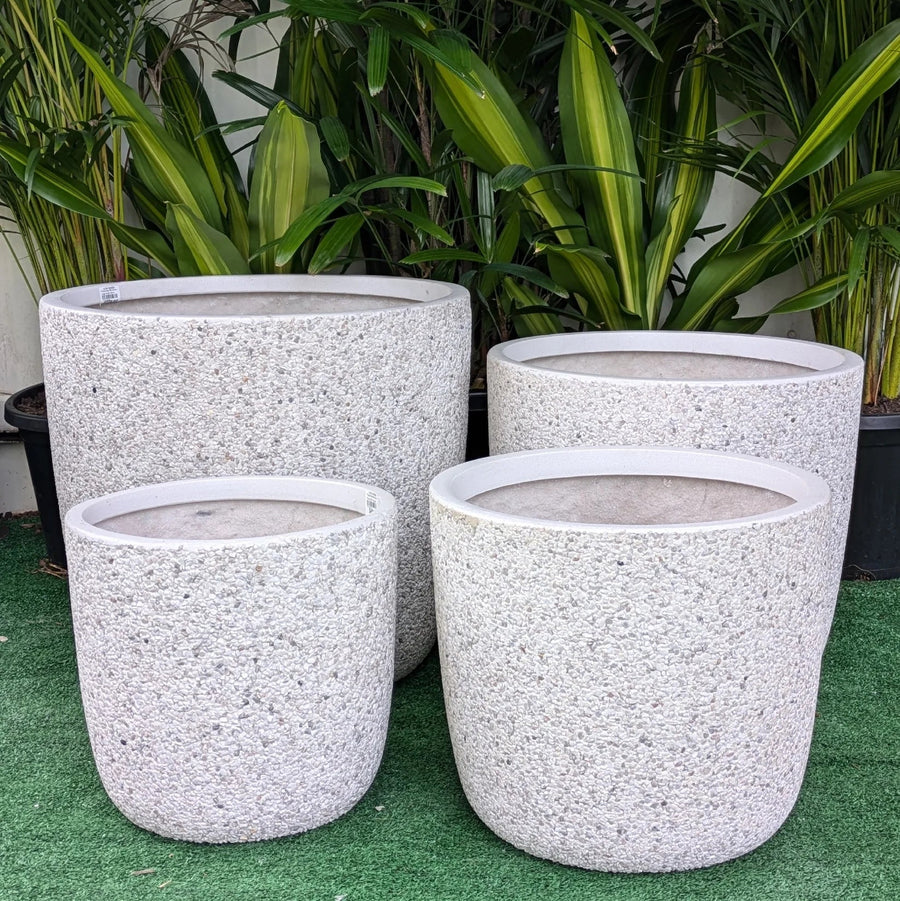 PRAGUE EGG POT Sydney's Plant Market