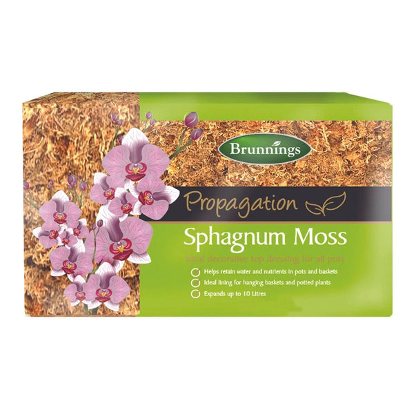 SPHAGNUM MOSS 150G