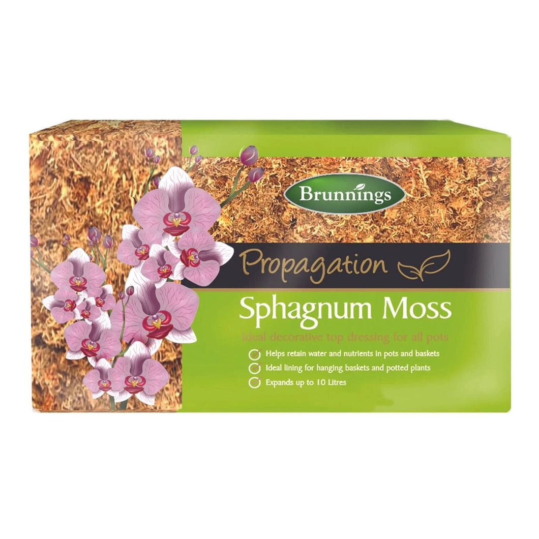 SPHAGNUM MOSS 150G