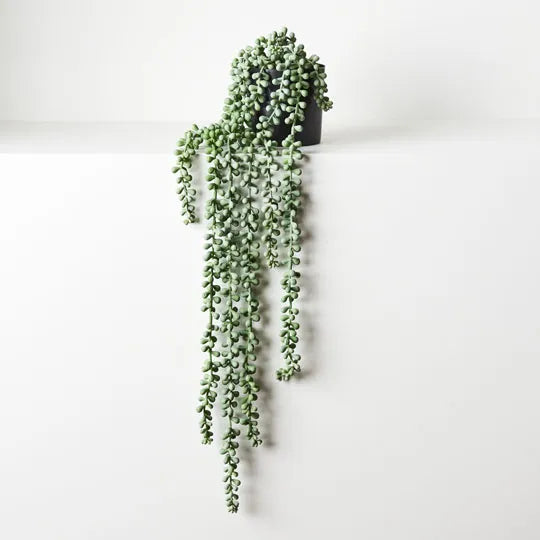ARTIFICIAL STRING OF PEARLS GREY GREEN Sydney's Plant Market