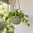 IMEZ HANGER OLIVE POT