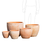TERRACOTTA EGG POT