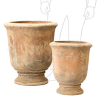 CAMILLE ANTIQUA URN