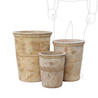 ASTRA ANTIQUA PLANTER POT
