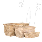 CITRUS TROUGH