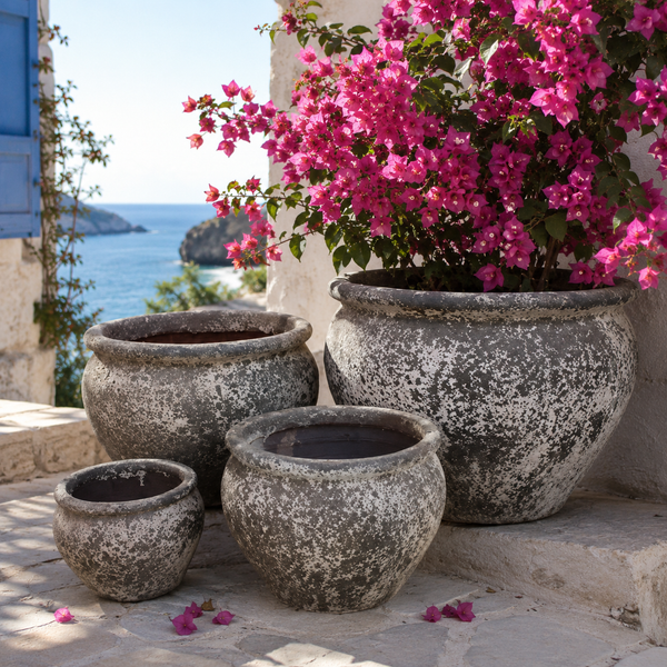 REEF ATLANTIS PLANTER