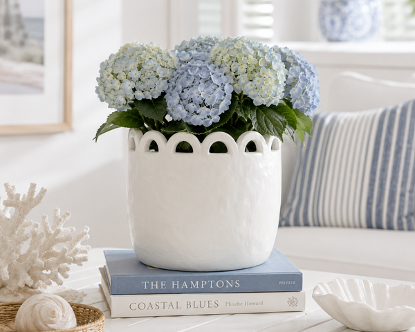 WHITE DIXON CERAMIC POT