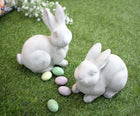RABBIT BRIAR CROUCHED
