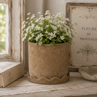 MACY CERAMIC POT W SAUCER 20X21CM MUSTARD