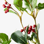 BERRY LEAF BOUQUET Sydney's Plant Market