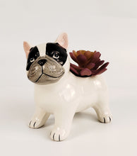 Load image into Gallery viewer, Cute French Bulldog Planter White 13.5cm
