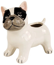 Load image into Gallery viewer, Cute French Bulldog Planter White 13.5cm
