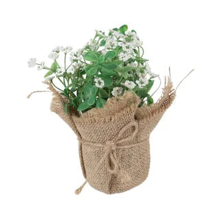 WHITE FLOWER BURLAP SHRUB Sydney's Plant Market