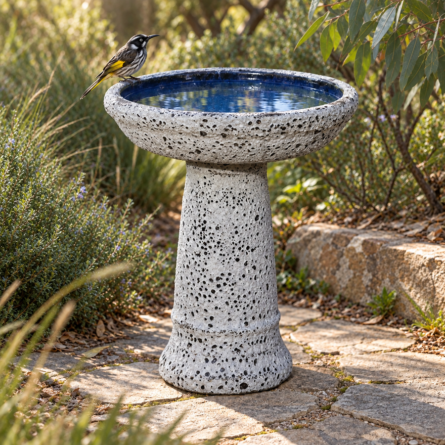 CORAL ATLANTIS BIRD BATH WHITE