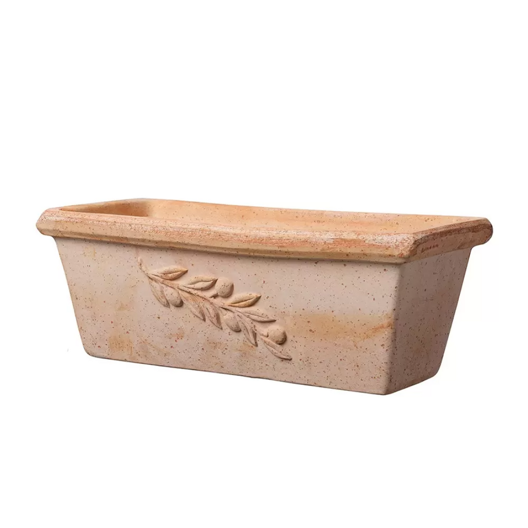 CASSETTA OLIVE TERRACOTTA POT - 30CM