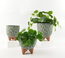 Load image into Gallery viewer, CASSIE PLANTER WITH LEGS MEDIUM
