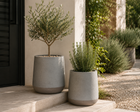 ULA PLANTER