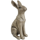 CHAMPAGNE SITTING HARE