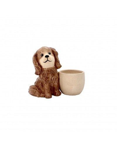 CUTE DOG POT Sydney's Plant Market