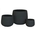 DRACAENA BLACK POT