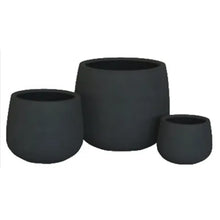 Load image into Gallery viewer, DRACAENA BLACK POT
