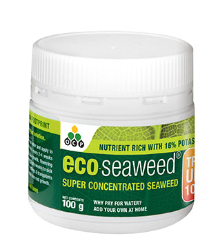 ECO SEAWEED 100G