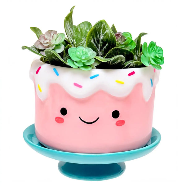 CAKE CERAMIC PLANTER POT