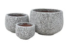 GORGEIA SQUAT ATLANTIS PLANTER