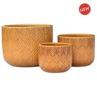 EBONY POT HONEY BROWN