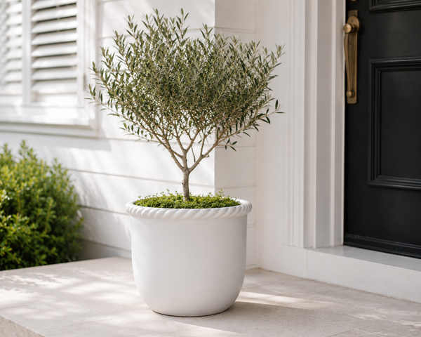 CORDOBA CERAMIC POT 25X20CM WHITE