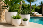 HOIAN WHITE EGG POT