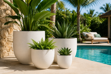 Load image into Gallery viewer, HOIAN WHITE EGG POT
