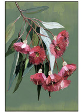 Load image into Gallery viewer, GUM NUT CANVAS
