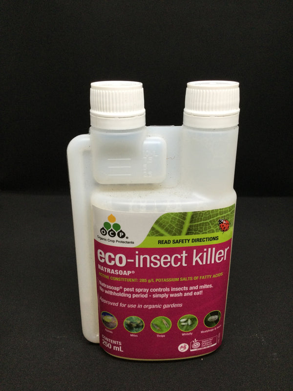 OCP ECO INSECT KILLER CONCENTRATE Sydney's Plant Market