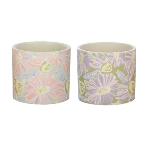 Wilde Ceramic Pot Sydney's Plant Market