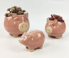 Load image into Gallery viewer, Pig Pot Hanger 9cm
