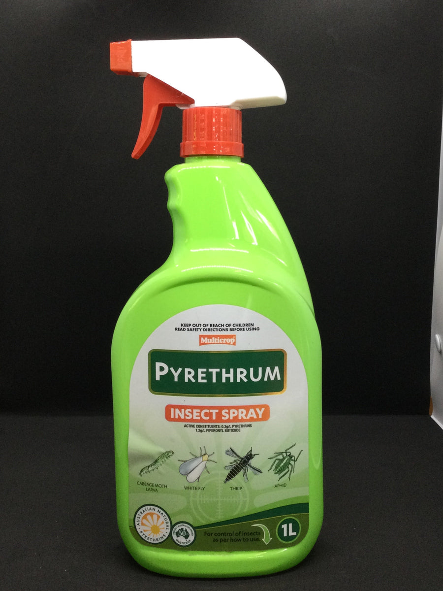 PYRETHRUM INSECT SPRAY 1L Sydney's Plant Market