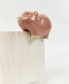 Pig Pot Hanger 9cm Sydney's Plant Market