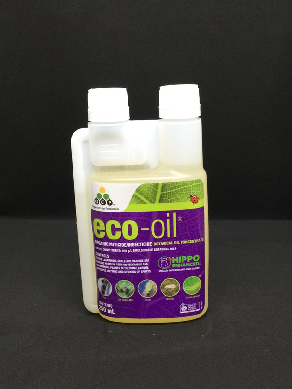 OCP ECO OIL 250ML Sydney's Plant Market