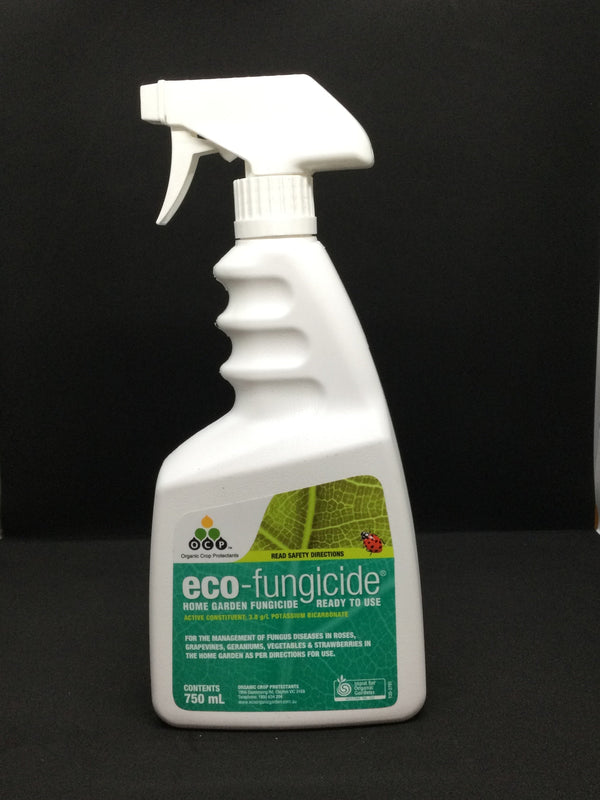 OCP ECO FUNGICIDE RTU 750ML Sydney's Plant Market