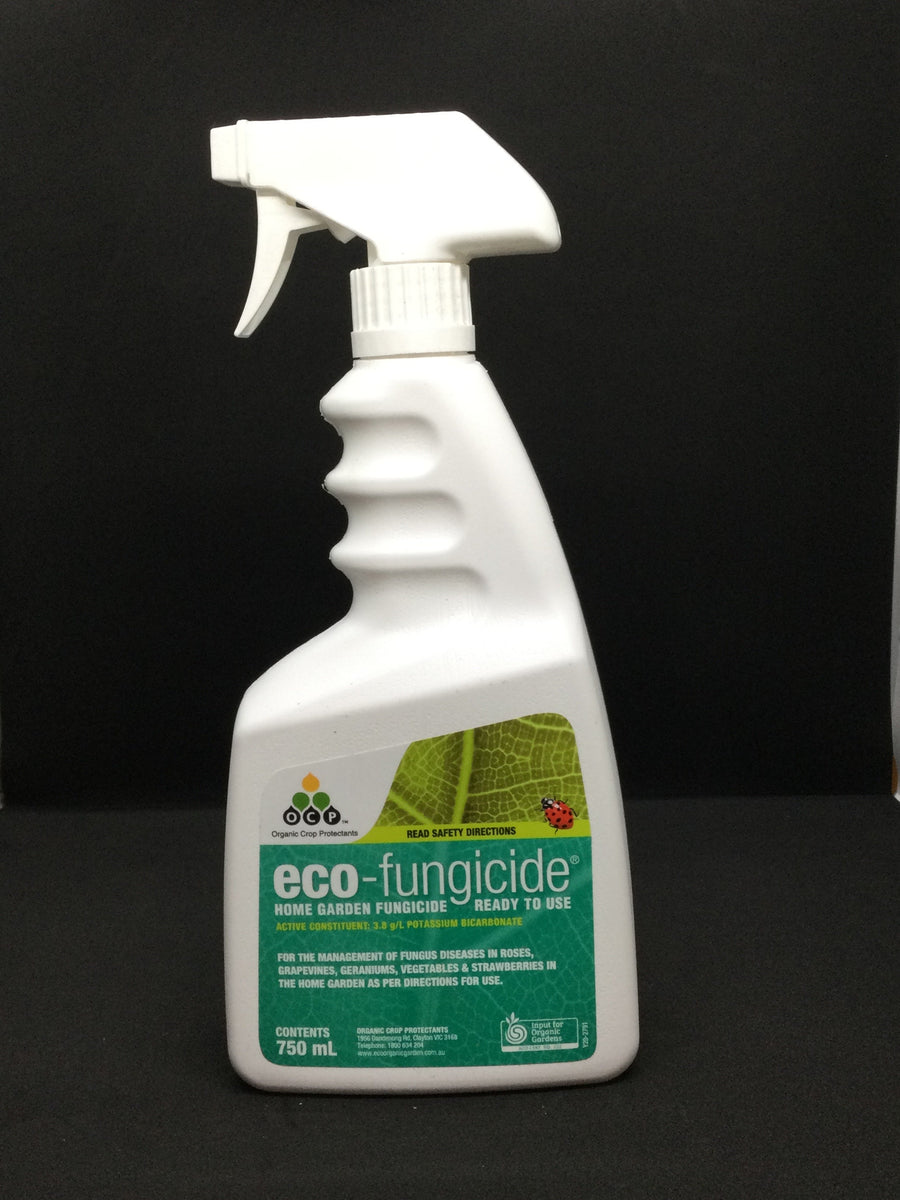 OCP ECO FUNGICIDE RTU 750ML Sydney's Plant Market
