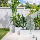 LOMANDRA TROUGH PLANTER POT