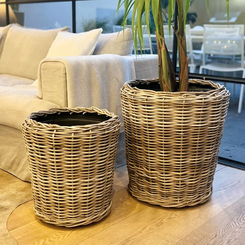 MARC HAMPTONS WATERSAFE POT Sydney's Plant Market