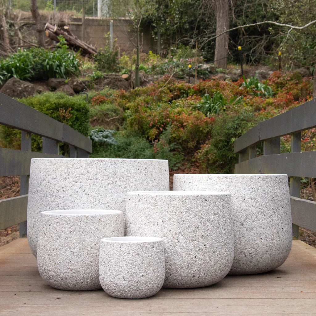 Nicola Drum Pots Pebblecrete – Sydney's Plant Market