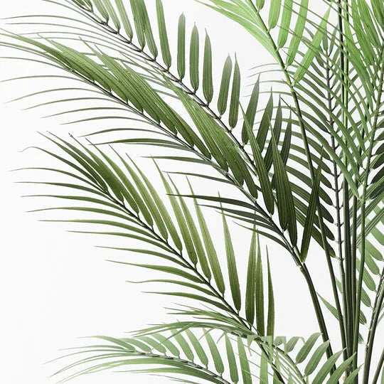 faux parlor palm ARTIFICIAL PARLOR PALM – Sydney's Plant Market