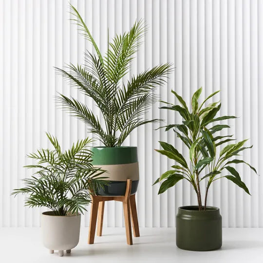 fake parlor palm ARTIFICIAL PARLOR PALM – Sydney's Plant Market